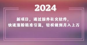 2024新项目，通过国外社交软件，快速涨粉精准引流，轻松做到月入上万【揭秘】-淘金日记