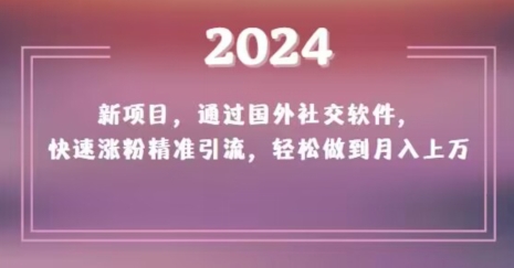 2024新项目，通过国外社交软件，快速涨粉精准引流，轻松做到月入上万【揭秘】-淘金日记