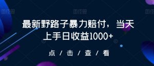 最新野路子暴力赔付,当天上手日收益1000+【仅揭秘】-淘金日记