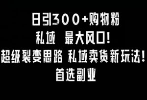 日引300+购物粉，超级裂变思路，私域卖货新玩法，小红书首选副业【揭秘】-淘金日记