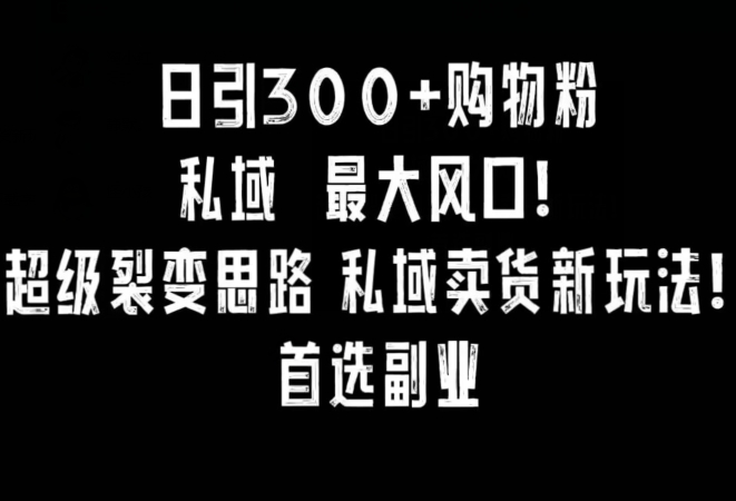 日引300+购物粉，超级裂变思路，私域卖货新玩法，小红书首选副业【揭秘】-淘金日记