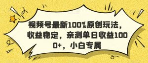 视频号最新100%原创玩法，收益稳定，亲测单日收益1000+，小白专属【揭秘】-淘金日记