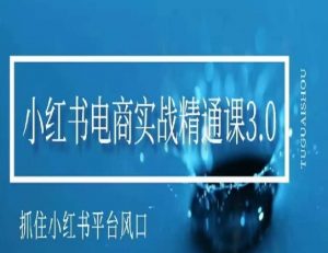 小红书电商实战精通课3.0,抓住小红书平台的风口,不错过有一个赚钱的机会-淘金日记