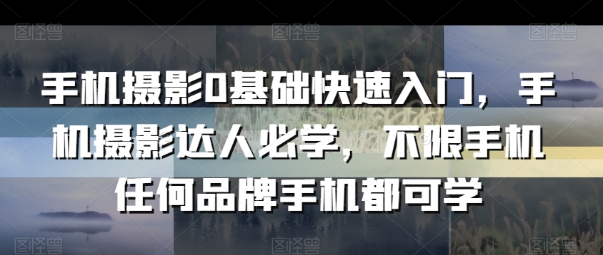 手机摄影0基础快速入门,手机摄影达人必学,不限手机任何品牌手机都可学-淘金日记