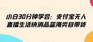 小白30分钟学会：支付宝无人直播生活快消品蓝海类目带货【揭秘】-淘金日记