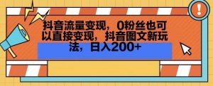 抖音流量变现，0粉丝也可以直接变现，抖音图文新玩法，日入200+【揭秘】-淘金日记