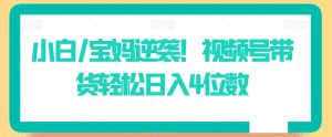 小白/宝妈逆袭!视频号带货轻松日入4位数【揭秘】-淘金日记