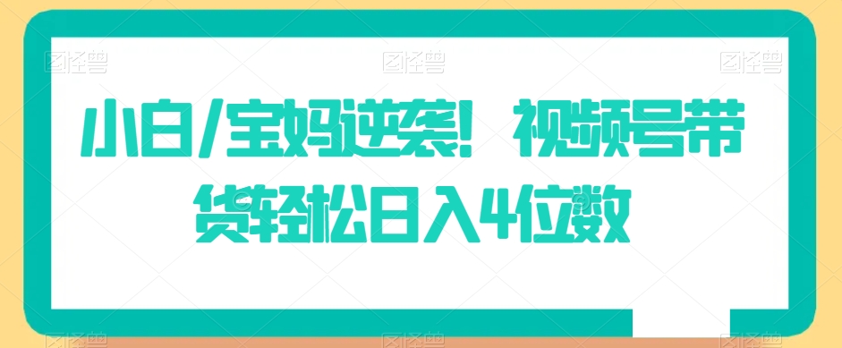 小白/宝妈逆袭!视频号带货轻松日入4位数【揭秘】-淘金日记