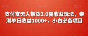 支付宝无人带货2.0高收益玩法，亲测单日收益1000+，小白必备项目【揭秘】-淘金日记