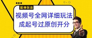 视频号全网最详细玩法，起号过原创开分成，单号日入300+【揭秘】-淘金日记
