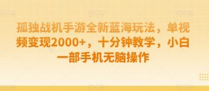 孤独战机手游全新蓝海玩法,单视频变现2000+,十分钟教学,小白一部手机无脑操作【揭秘】-淘金日记