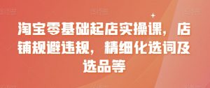 淘宝零基础起店实操课，店铺规避违规，精细化选词及选品等-淘金日记