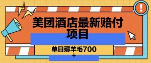美团酒店最新赔付项目，单日薅羊毛700+【仅揭秘】-淘金日记