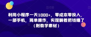 利用小程序一天1000+，零成本零投入，一部手机，简单操作，实现躺着把钱赚了（附教学素材）【揭秘】-淘金日记
