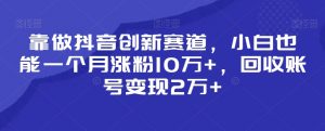 靠做抖音创新赛道,小白也能一个月涨粉10万+,回收账号变现2万+【揭秘】-淘金日记