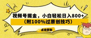 视频号掘金，小白轻松日入800+（附100%过原创技巧）【揭秘】-淘金日记