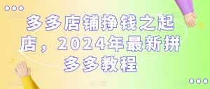 多多店铺挣钱之起店，2024年最新拼多多教程-淘金日记