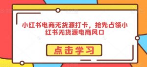 小红书电商无货源打卡，抢先占领小红书无货源电商风口-淘金日记