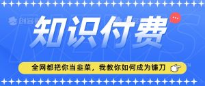 2024最新知识付费项目,小白也能轻松入局,全网都在教你做项目,我教你做镰刀【揭秘】-淘金日记
