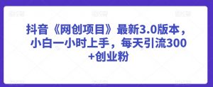 抖音《网创项目》最新3.0版本,小白一小时上手,每天引流300+创业粉【揭秘】-淘金日记