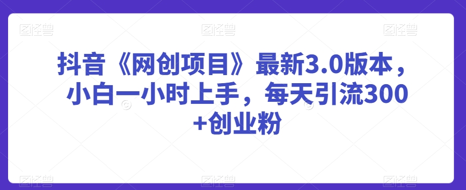 抖音《网创项目》最新3.0版本,小白一小时上手,每天引流300+创业粉【揭秘】-淘金日记