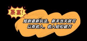 短剧最新玩法,新手当天就可以有收入,收入轻松破万【揭秘】-淘金日记