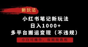 小红书笔记新玩法，日入1000+，多平台搬运变现（不违规），小白可操作，保姆级教程【揭秘】-淘金日记