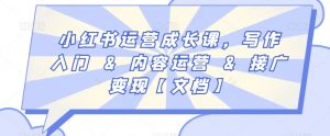 小红书运营成长课，写作入门&内容运营&接广变现【文档】-淘金日记