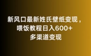 新风口最新姓氏壁纸变现，喂饭教程日入600+【揭秘】-淘金日记