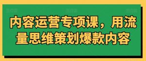内容运营专项课,用流量思维策划爆款内容-淘金日记