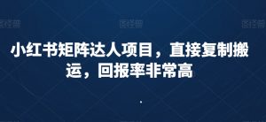 小红书矩阵达人项目，直接复制搬运，回报率非常高-淘金日记
