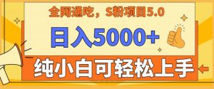 男粉项目5.0，最新野路子，纯小白可操作，有手就行，无脑照抄，纯保姆教学【揭秘】-淘金日记