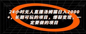 24小时无人直播汤姆猫日入2000+，长期可玩的项目，爆裂变现，一定要做的项目【揭秘】-淘金日记