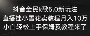 抖音全民k歌5.0新玩法，直播挂小雪花卖教程月入10万，小白轻松上手，保姆及教程来了【揭秘】-淘金日记
