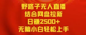 野路子无人直播结合网盘拉新，日赚2500+，小白无脑轻松上手【揭秘】-淘金日记