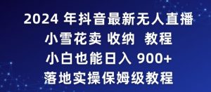 2024年抖音最新无人直播小雪花卖收纳教程,小白也能日入900+落地实操保姆级教程【揭秘】-淘金日记