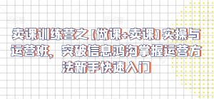 卖课训练营之【做课+卖课】实操与运营班,突破信息鸿沟掌握运营方法新手快速入门-淘金日记