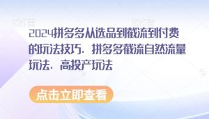 2024拼多多从选品到截流到付费的玩法技巧，拼多多截流自然流量玩法，高投产玩法-淘金日记