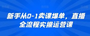 新手从0-1卖课爆单,直播全流程实操运营课-淘金日记