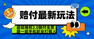 超级维权2.0全新玩法，2024赔付全思路职业打假一部手机搞定【仅揭秘】-淘金日记