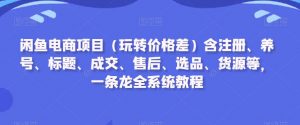 闲鱼电商项目(玩转价格差)含注册、养号、标题、成交、售后、选品、货源等,一条龙全系统教程-淘金日记