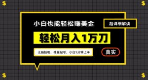 谷歌看广告撸美金2.0，无脑挂机，多号操作，月入1万刀【揭秘】-淘金日记