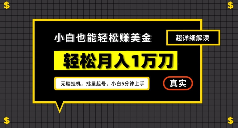 谷歌看广告撸美金2.0,无脑挂机,多号操作,月入1万刀【揭秘】-淘金日记
