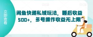 闲鱼快递私域玩法,睡后收益500+,多号操作收益无上限【揭秘】-淘金日记