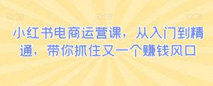 小红书电商运营课,从入门到精通,带你抓住又一个赚钱风口-淘金日记