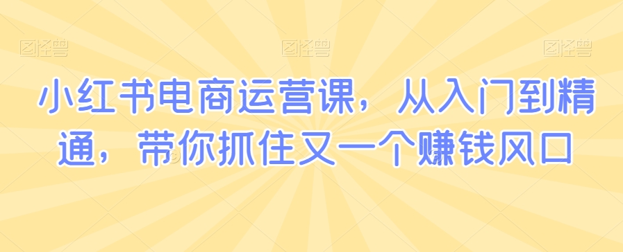 小红书电商运营课,从入门到精通,带你抓住又一个赚钱风口-淘金日记