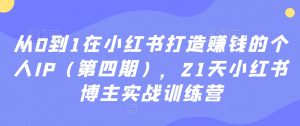 从0到1在小红书打造赚钱的个人IP(第四期),21天小红书博主实战训练营-淘金日记
