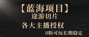一天收入2000+，最新中视频创新玩法，用AI科技一键改唱影解说刷爆流量收益【揭秘】-淘金日记