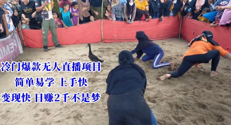 冷门爆款无人直播项目，简单易学上手快，变现快日赚2千不是梦【揭秘】-淘金日记