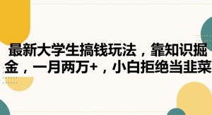 最新大学生搞钱玩法，靠知识掘金，一月两万+，小白拒绝当韭菜【揭秘】-淘金日记